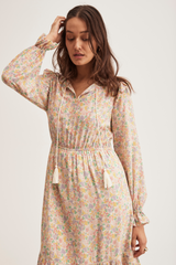 Stella Dress, Spring Garden